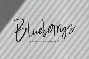 Blueberrys: The Font That Elevates Your Campaigns