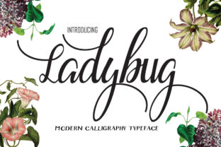 Ladybug: A Script Font That Adds Playful Charm to Digital Design
