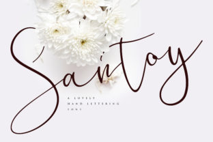 Santoy: A Script Font That Elevates Campaigns